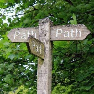 Which path to take? 